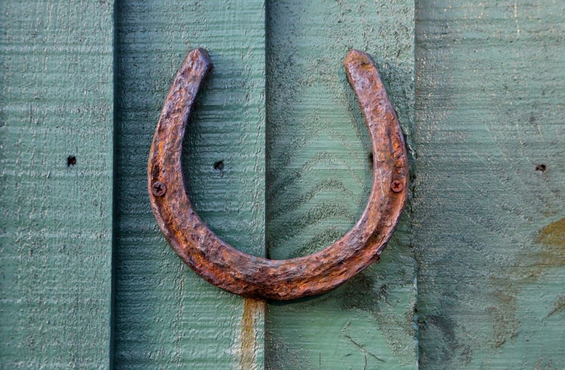 "Nal" - From Horseshoe to Jewelry - Pregomesh